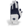 Zoom Weather Glove